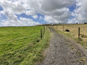 Photo 5- click for photo gallery